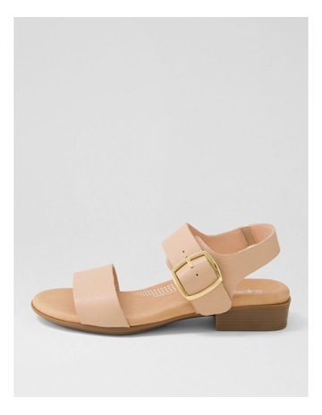 Neutral colour