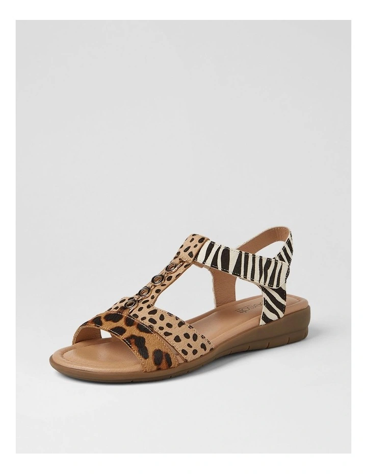 Ferraro 2 Leopard Multi Sandals image 2