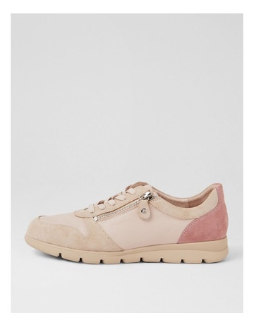 Neutral colour