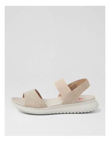 Neutral colour