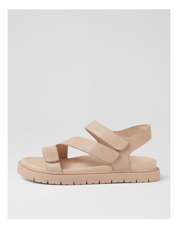 Neutral colour