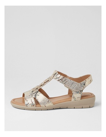 Neutral colour
