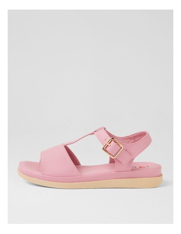 Pink colour