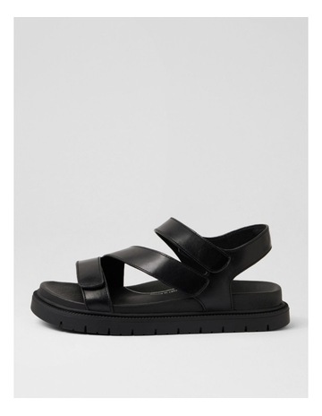 Black colour