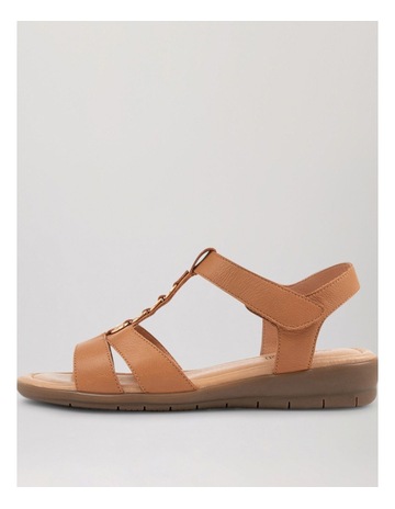 Tan colour