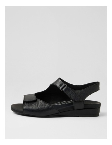 Black colour