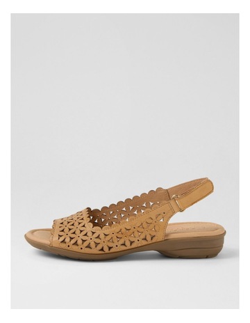 Tan colour