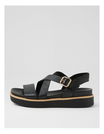 Black colour