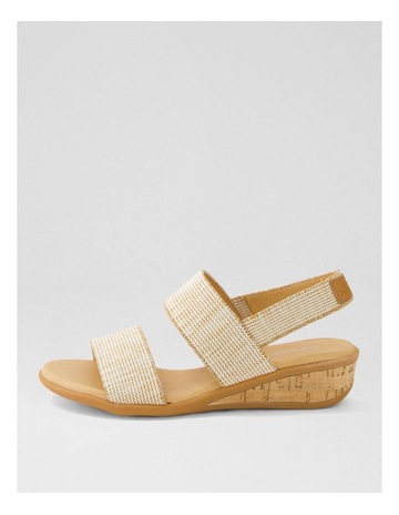 Neutral colour