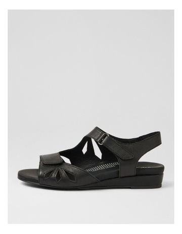 Black colour