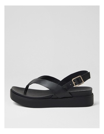 Black colour