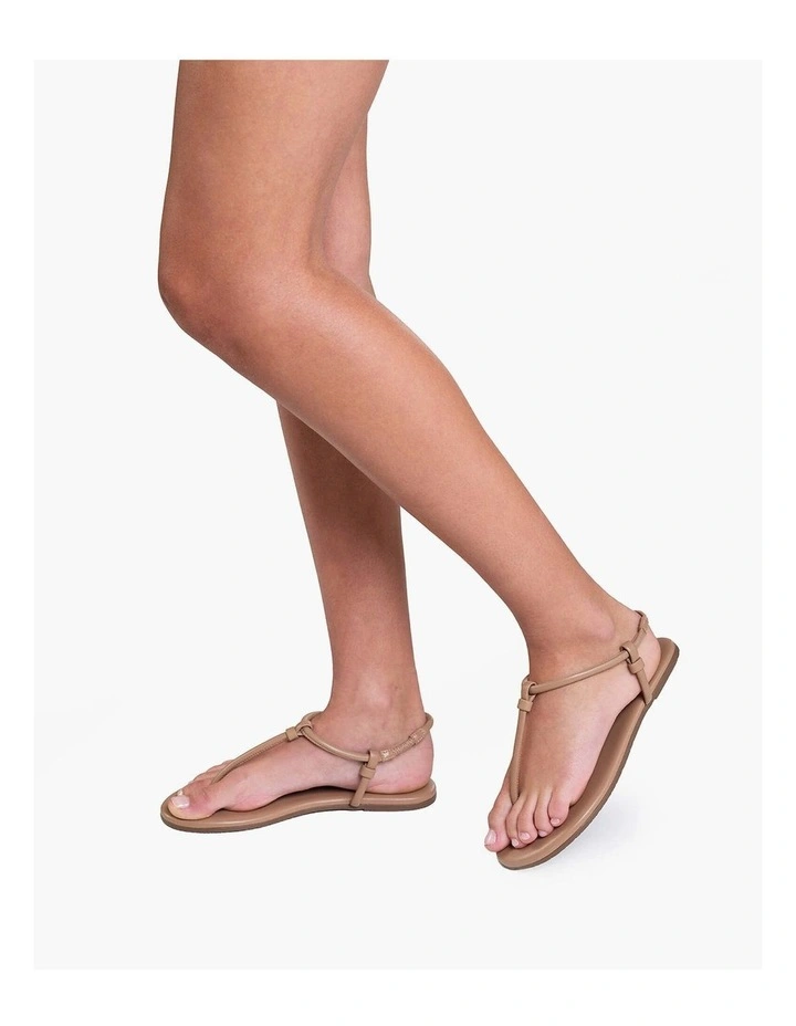 Tkees - Tubular Mariana- Cocobutter image 5