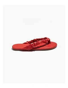 Tkees - Savannah - Red