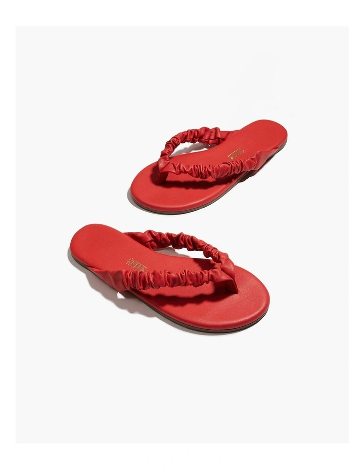 Tkees - Savannah - Red image 3