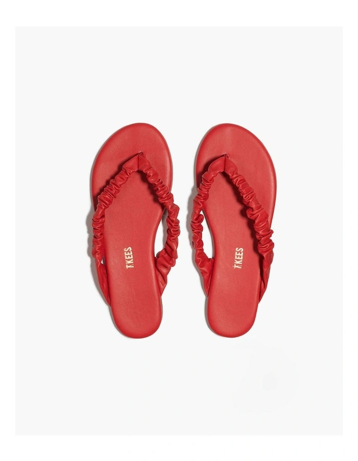 Tkees - Savannah - Red image 5