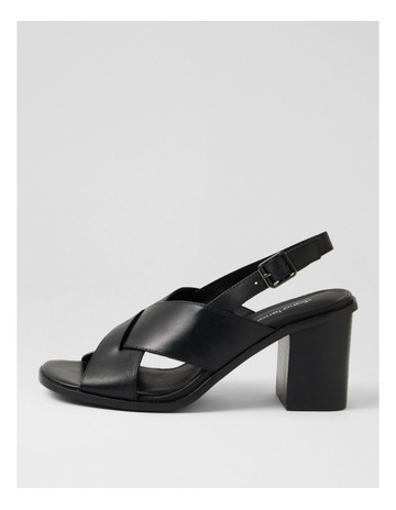 Black colour