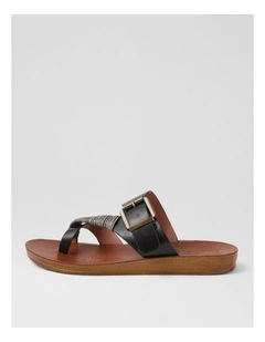 Kitoxes Black Slides