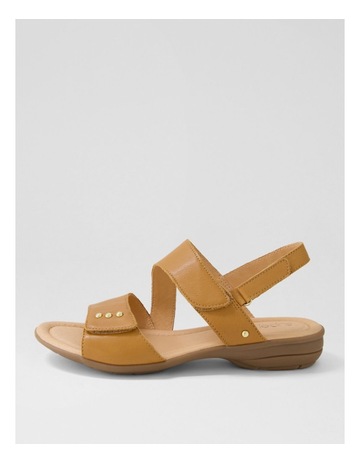 Tan colour