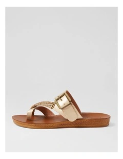 Kitoxes Golden Dust Mix Slides