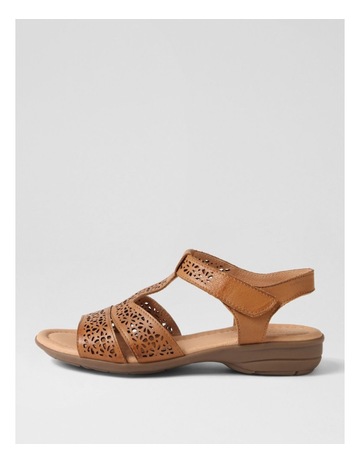 Tan colour