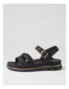 Barsala Black Sandals