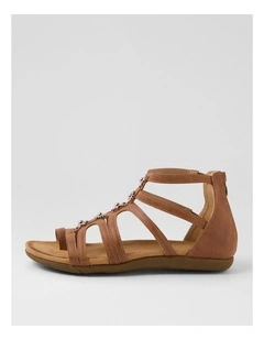 Feeler Tan Sandals