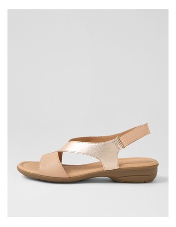 Neutral colour