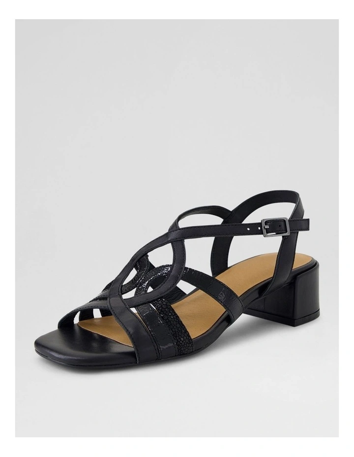 Phoenix D Black Multi Sandals image 2