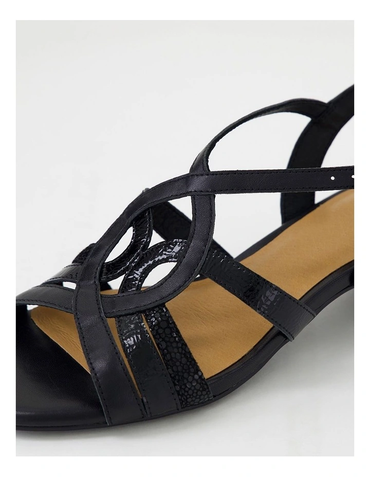 Phoenix D Black Multi Sandals image 5