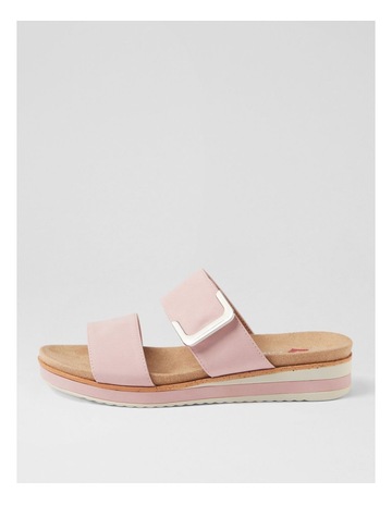 Pink colour