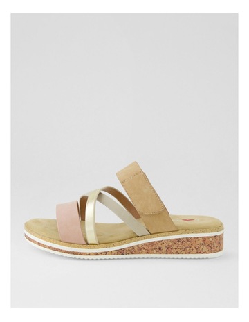 Neutral colour