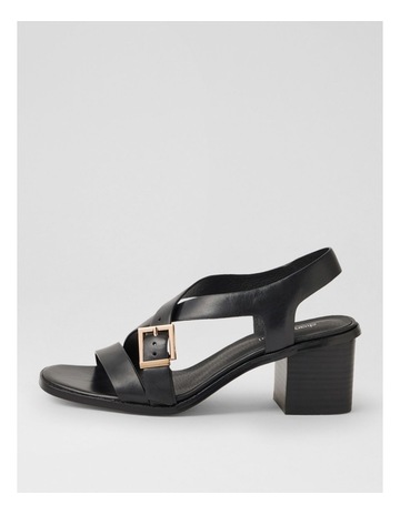 Black colour