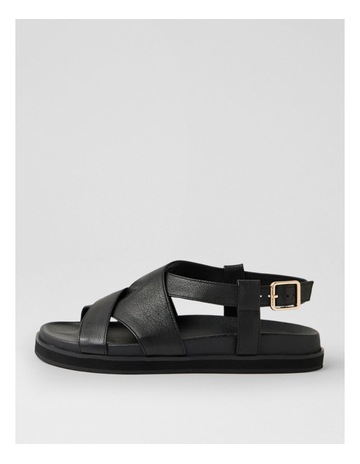 Black colour