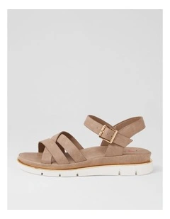 Barsala Light Taupe Sandals