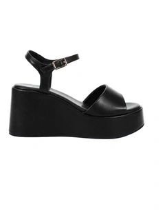WINSOR - BLACK VINTAGE