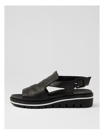 Black colour