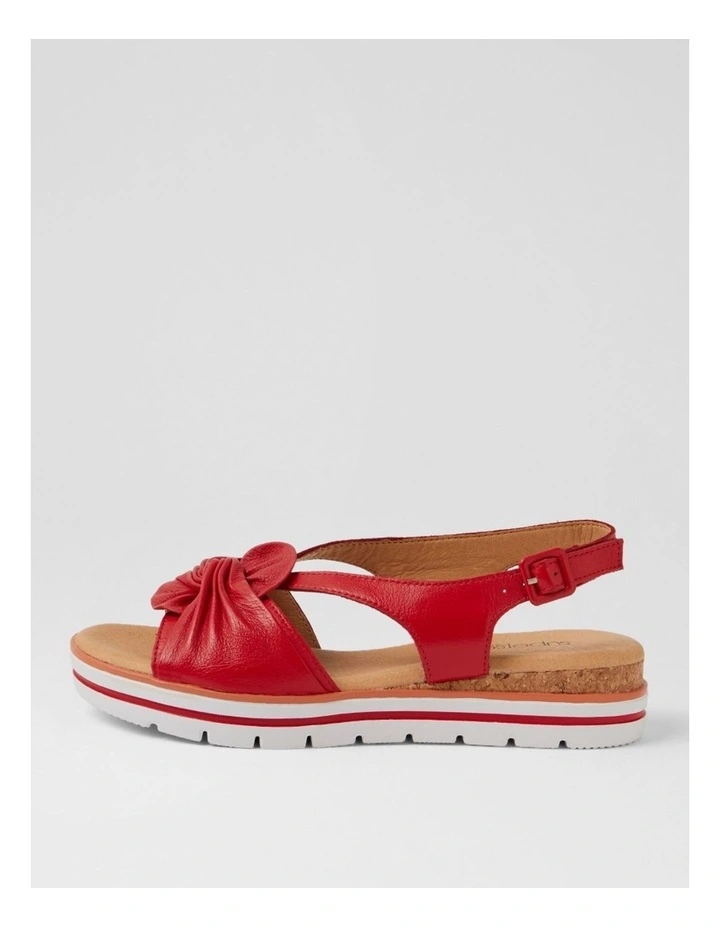 Alexin Red Multi Sandals image 1