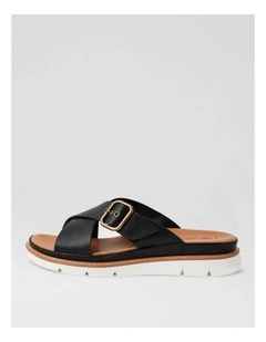 Darlino Black Slides