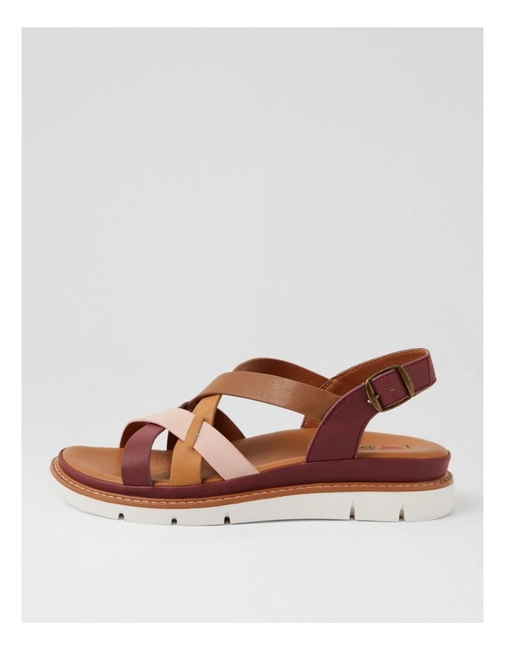 Dollin Wine Multi Strappy Sandals image 1