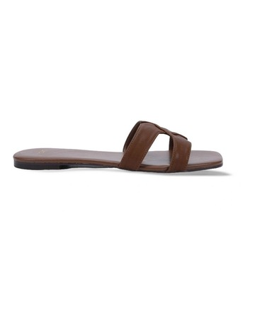 Chestnut colour