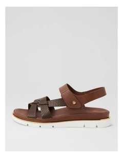 Breese Choc Lizard Sandals