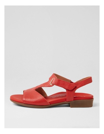 Red colour