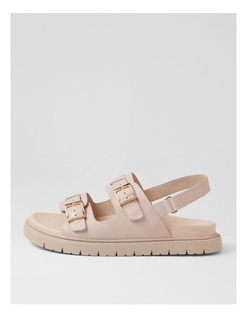 Neutral colour