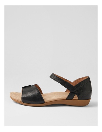 Black colour