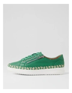 Zomo Green Multi Sneakers