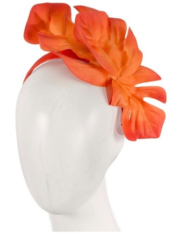 Orange colour