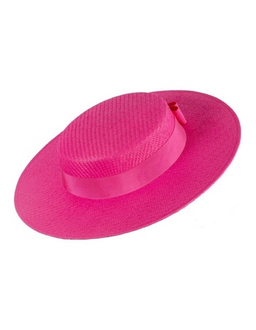 Fuchsia colour