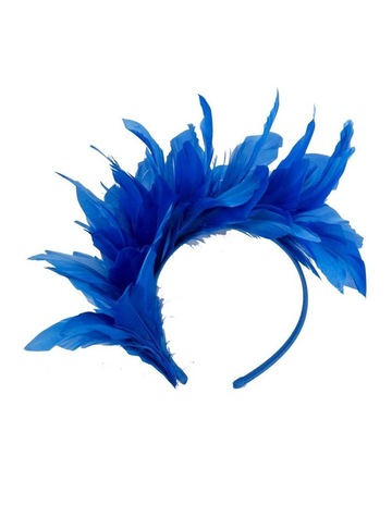 Navy & Blue colour