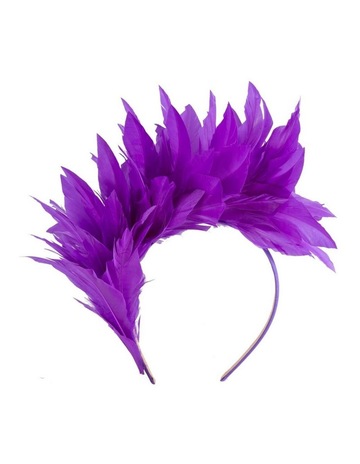 Purple & Violet colour