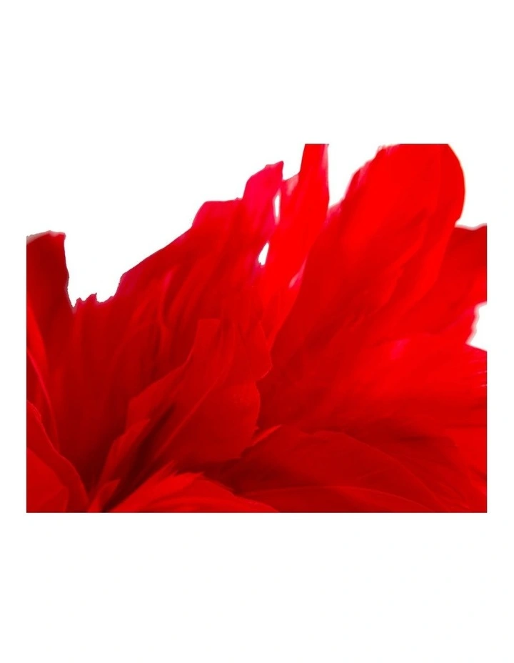 Feather MA893R Fascinator Headband in Red image 3